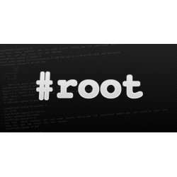 30-days VPS ROOT - 4 GB RAM - Scan, Crack, Spam