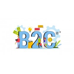100,000 US B2C Emails