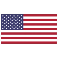 US RDP for DATING (4GB RAM)