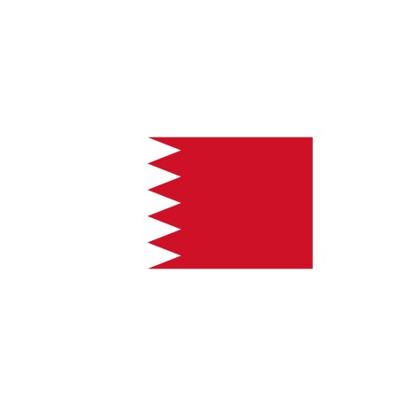 Bahrain Cloud RDP