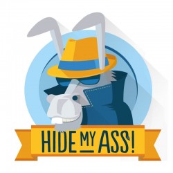 12 months - HMA Account